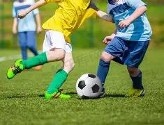 尤文图斯意,甲第,胜博洛尼亚,广州赛马场,广州赛马赛事,马术俱乐部,赛马资讯